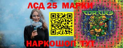 кокс Кандалакша