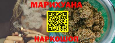 a pvp Камышлов