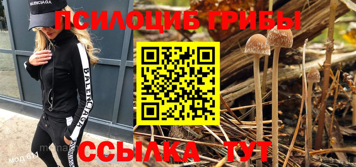 Кузнецк  Псилоцибиновые грибы прущие грибы  Вход с VPN 