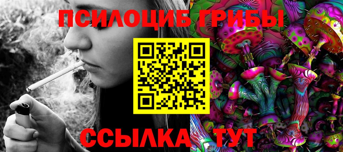Галлюциногенные грибы Cubensis Кузнецк